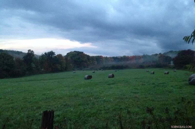 Mixed Farming Techniques Cut U.S. Emissions While Boosting Productivity