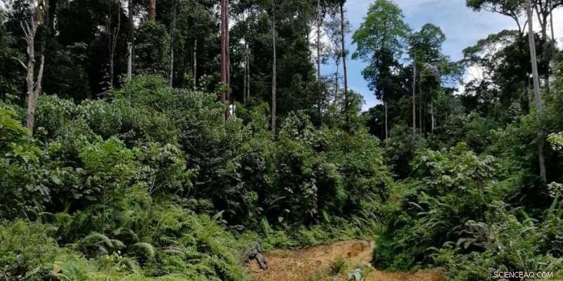 Global Ecosystem Restoration Network: Connecting Projects & Communities