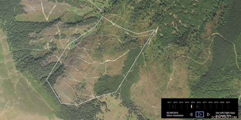 Global Ecosystem Restoration Network: Connecting Projects & Communities