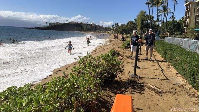 New Online Tool Predicts High Wave Flooding on West Maui – Real‑Time Forecasts for Residents