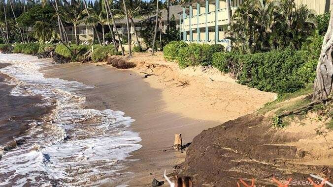New Online Tool Predicts High Wave Flooding on West Maui – Real‑Time Forecasts for Residents