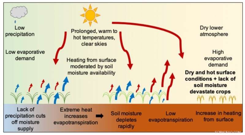 New Study Reveals Impact of Flash Droughts Across Australia
