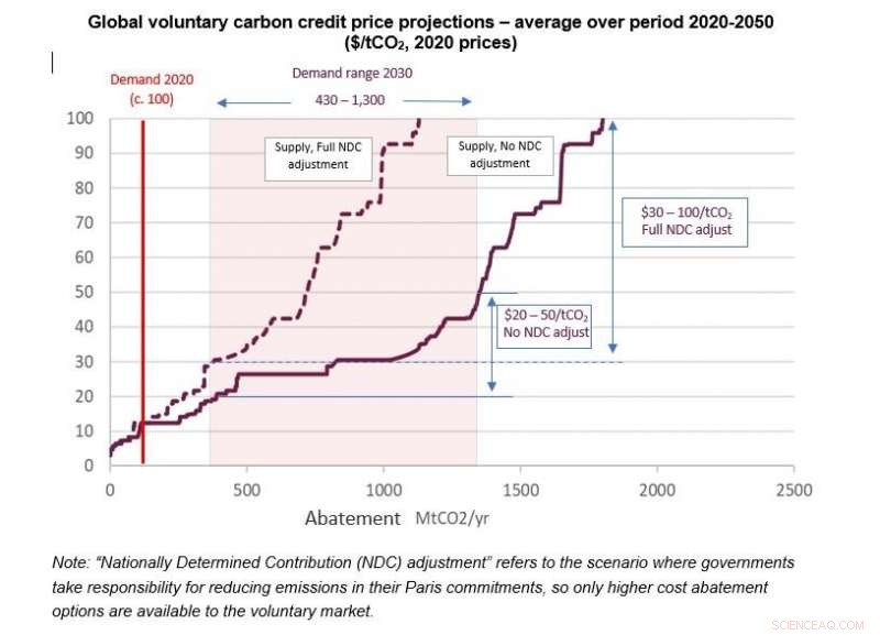 Projected Tenfold Surge in Carbon Offset Prices – What It Means for Businesses