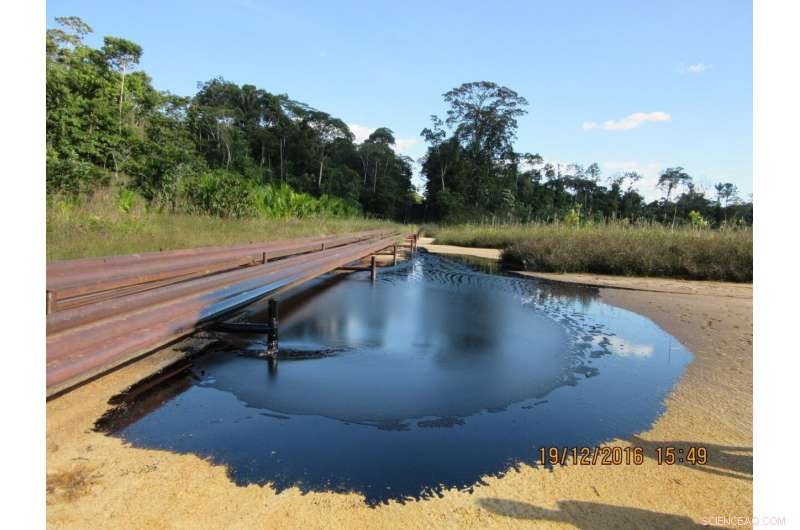 Elevated Blood Lead Levels Detected Among Indigenous Communities in the Peruvian Amazon