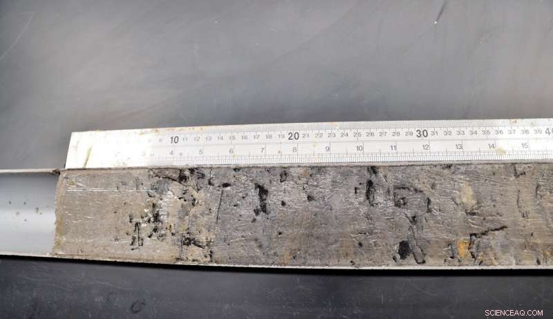 Scientists Set New Benchmarks for Singapore s Sea-Level History