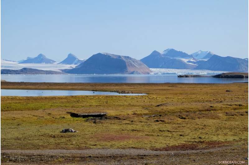 Drained Northern Peatlands Emit Massive CO₂, New Study Reveals