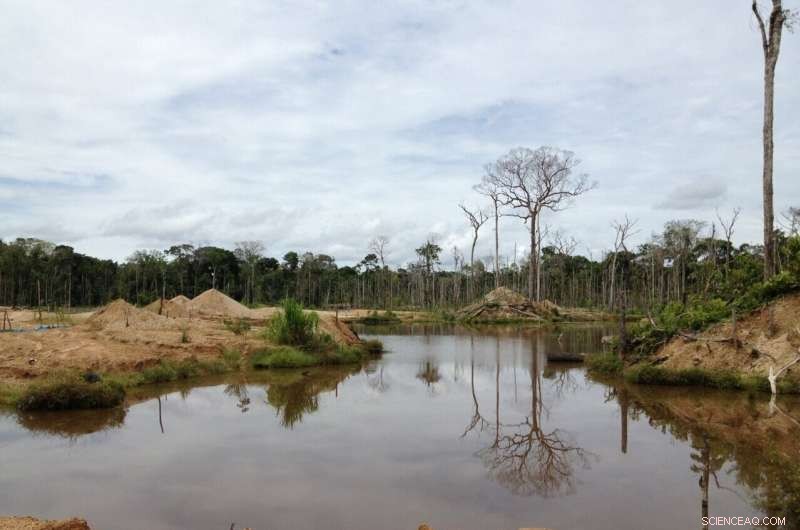 Scientists Study Mining-Driven Deforestation in the Amazon