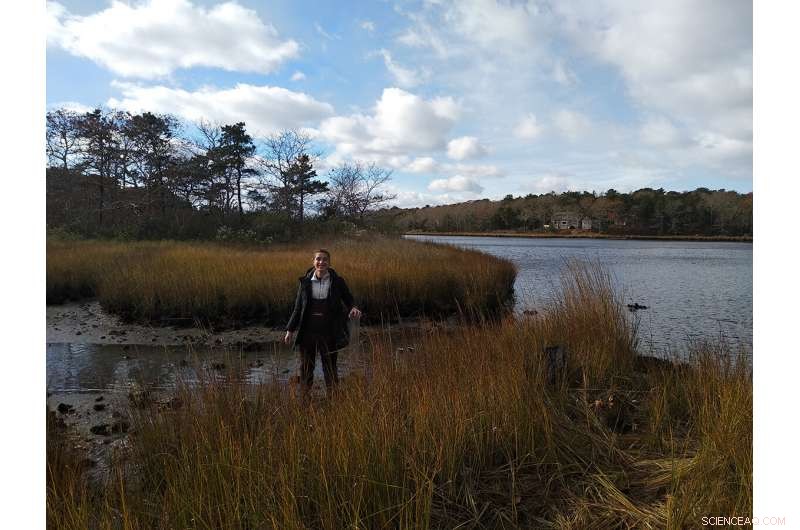 Salt Marshes Act as Natural Archives, Trapping Microplastics and Documenting Human Plastic Consumption