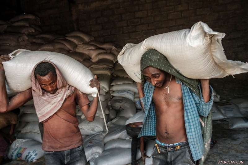 Study Finds Consumers Spend Majority on Food Processing, Leaving Farmers with a Fraction