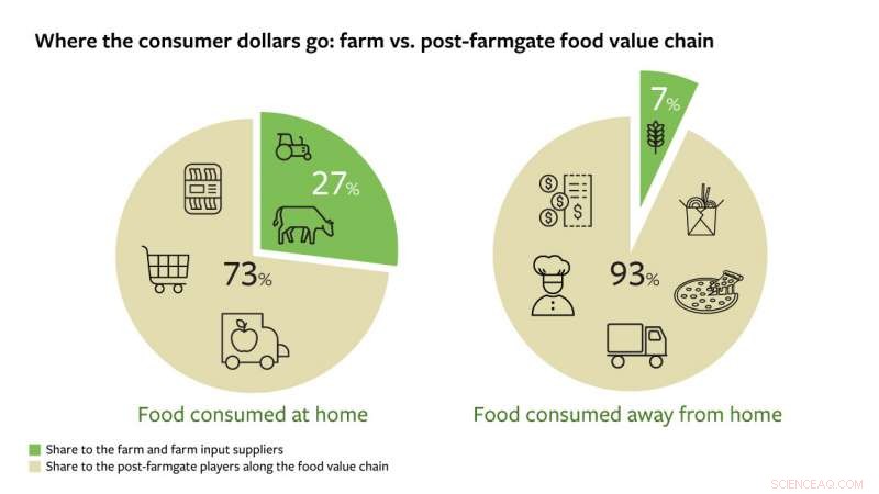 Study Finds Consumers Spend Majority on Food Processing, Leaving Farmers with a Fraction