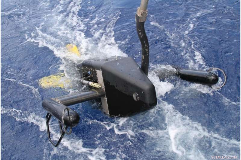 New Research Uncovers How Massive Plankton Blooms Shape Ecosystems Differently