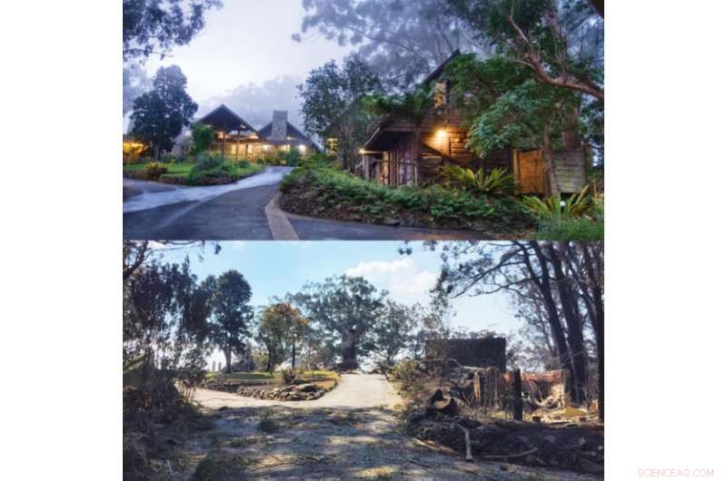 Quarter-Million Hectares Burnt: 2019 Queensland Bushfires Severely Impact South-East Queensland Bushland