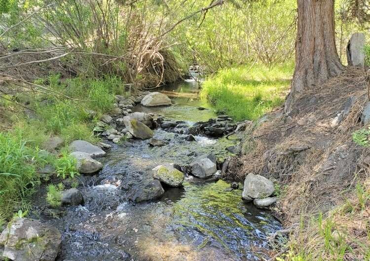 Tracking Mining Recovery: Innovative Techniques and Fieldwork Reveal Promising Clean‑Up Results