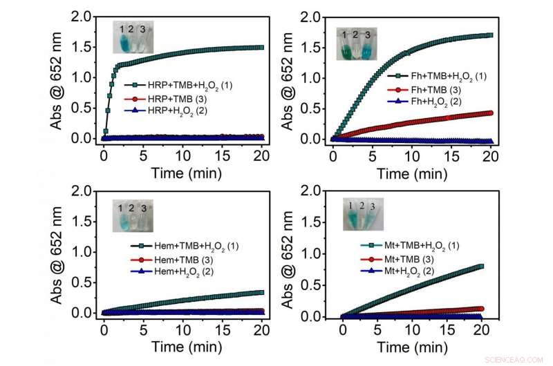 Mineral Nanoparticles: Universal Enzyme Mimics Shaping Earth’s Biogeochemical Cycles