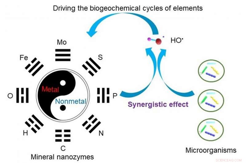 Mineral Nanoparticles: Universal Enzyme Mimics Shaping Earth’s Biogeochemical Cycles