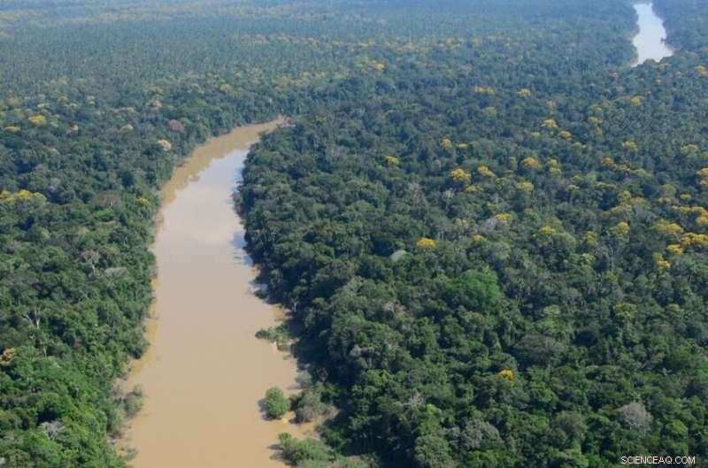 Five Thousand Years of Untouched Amazon: Soil Secrets Reveal an Ancient Wilderness