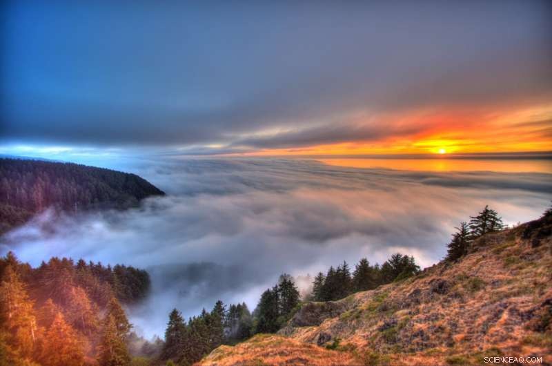 Double-Blind Study Shows Human Decision-Making Significantly Alters Climate Reconstructions