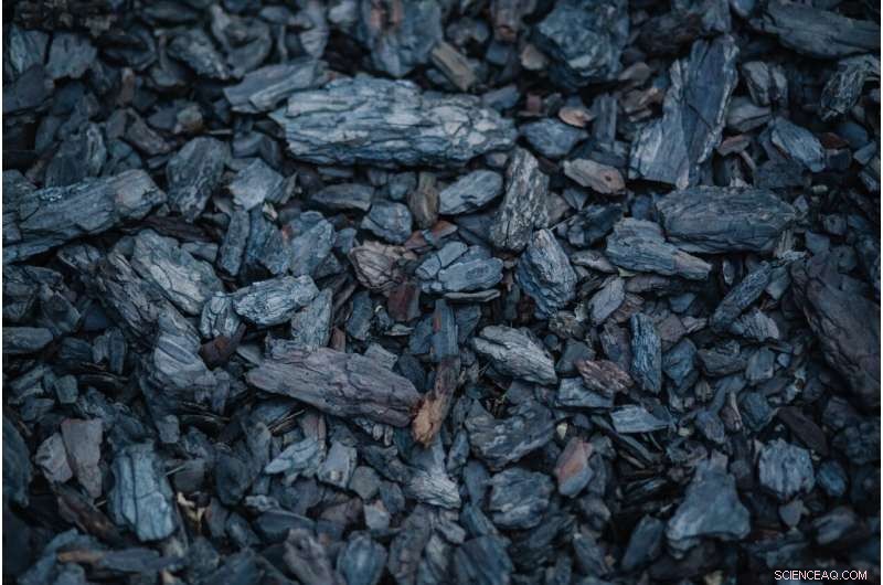 The Next 20 Years Will Shape Coal s Future