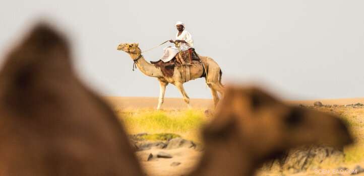 Understanding Thermal Discomfort: Why Saudi Arabia’s Heat Stress is Declining