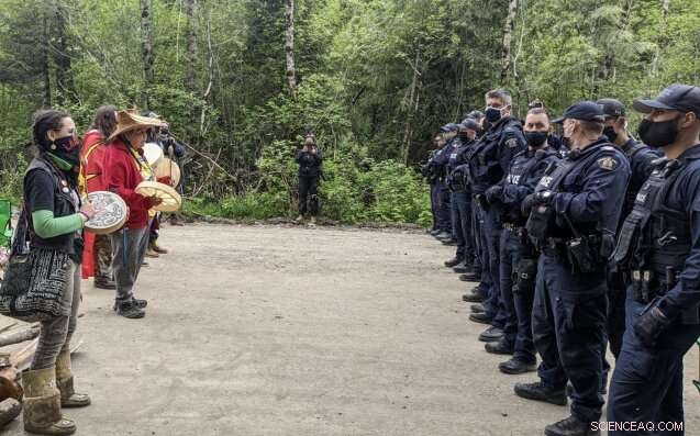 Safeguarding Temperate Old‑Growth Rainforests: Essential for a Sustainable Future