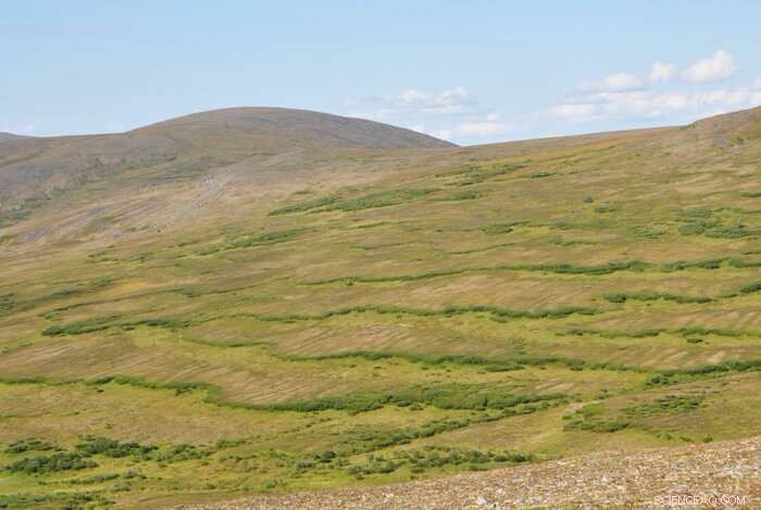 Understanding Arctic Soil Solifluction: Why It Slips and Slides