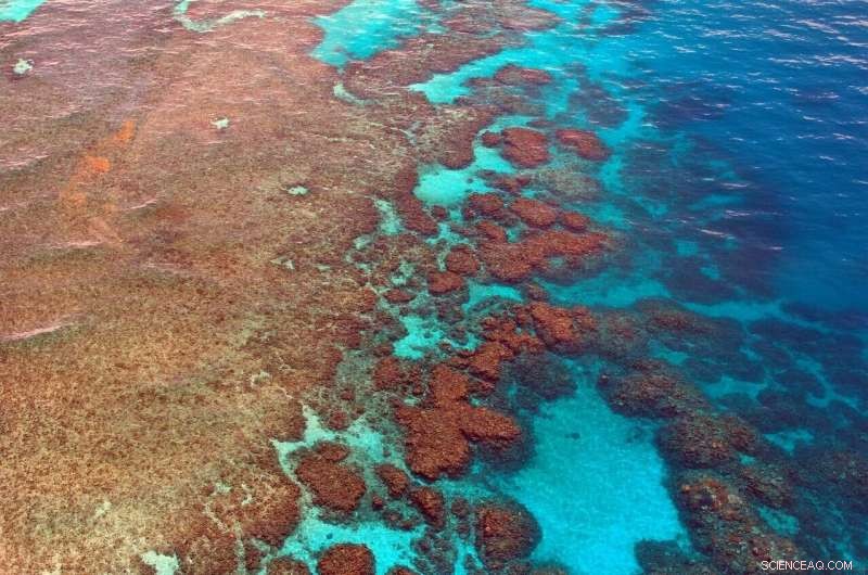 Great Barrier Reef: Projected Acidification May Be Countered for Ten Years with Alkaline Injection