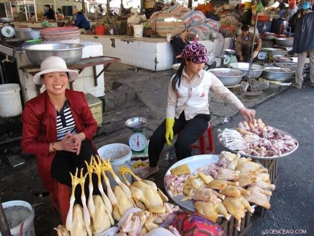 New Study Reveals Food Systems Offer Major Pathways to Cut Emissions