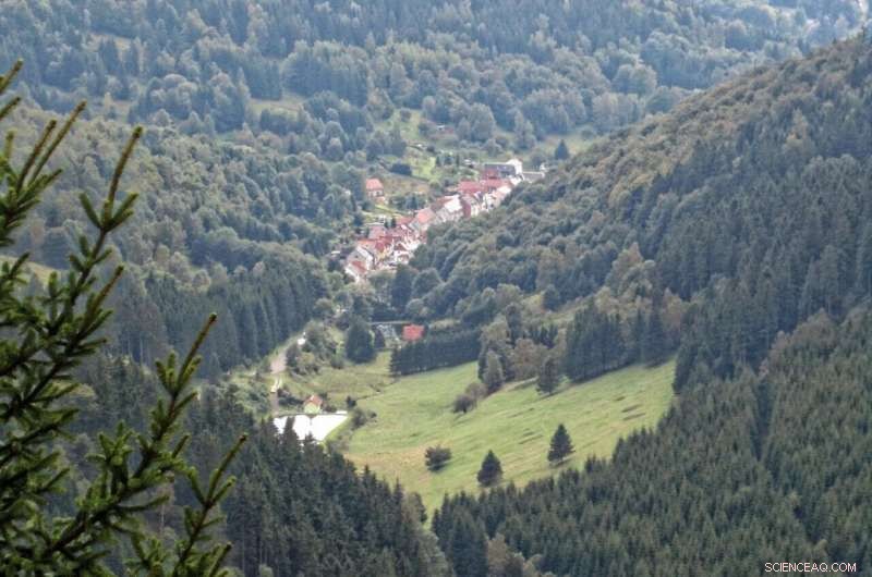 Soot from Heaters and Traffic: A Global Air Quality Threat