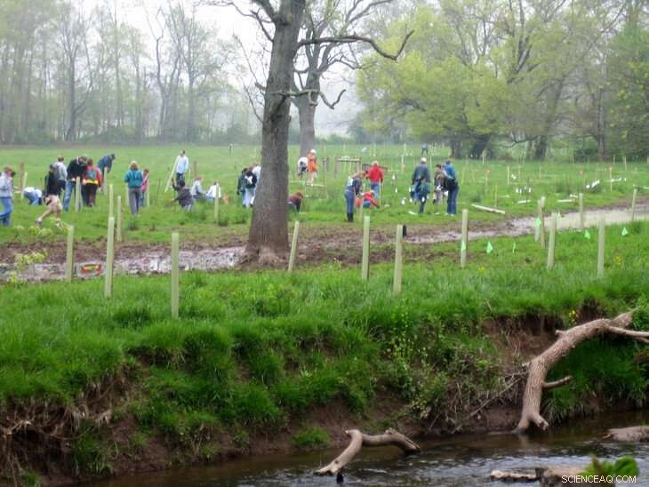 New study explores nitrogen credit trading to accelerate riparian buffer growth