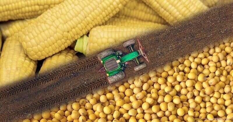 Double-Cropping: Boosting Brazil’s Grain Yields and Global Food Supply