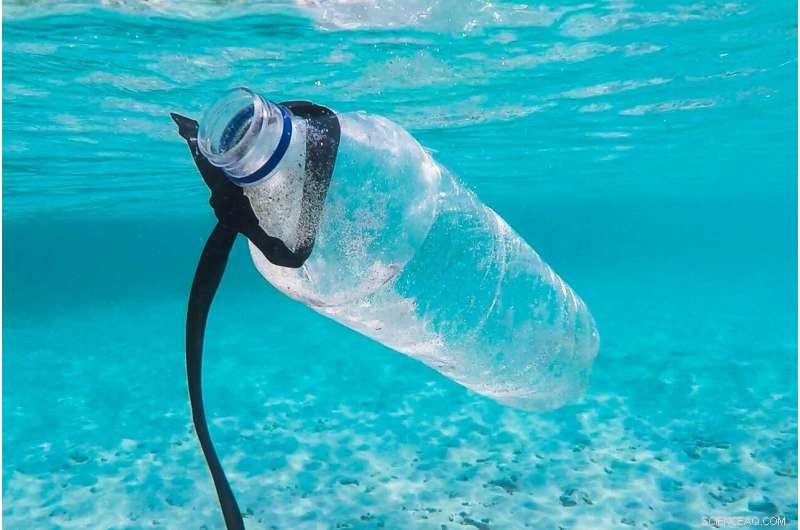 Battling Oceanic Litter: Cutting‑Edge Strategies to Reduce Maritime Pollution
