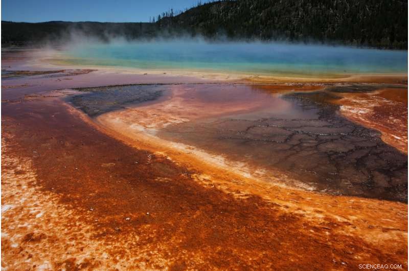 Extremophiles Offer Breakthrough Clues for Climate‑Change Technologies
