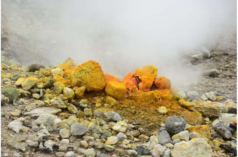 Extremophiles Offer Breakthrough Clues for Climate‑Change Technologies