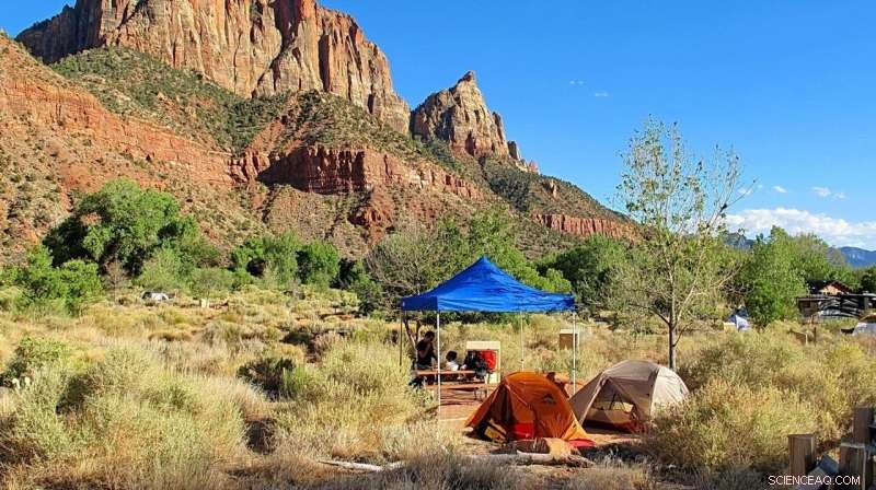 Research Reveals Why Campers Choose Specific Campsites