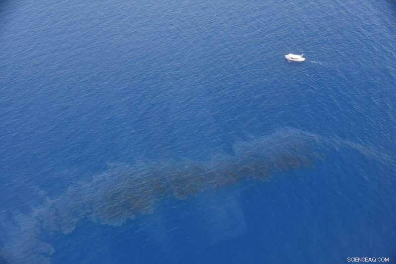 Corsican Coast Safe as Oil Spill Moves Offshore, Authorities Respond Swiftly