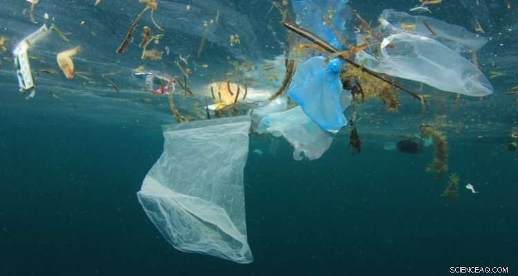 Comprehensive Study Reveals the Origin and Composition of Ocean Litter