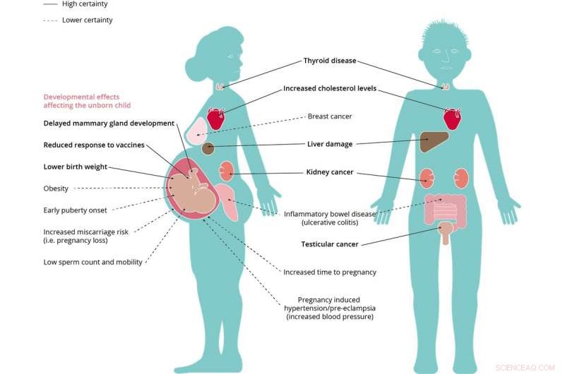 Long‑Lasting Contaminants Detected in Northern Canada Residents