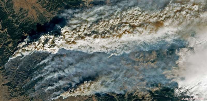 Rocky Mountain Forests Experience Unprecedented Burning, Surpassing All Recorded 2,000-Year History