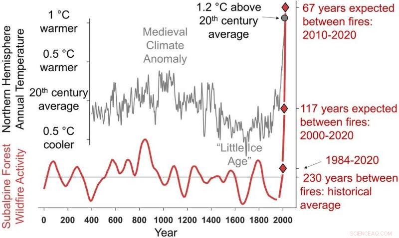 Rocky Mountain Forests Experience Unprecedented Burning, Surpassing All Recorded 2,000-Year History
