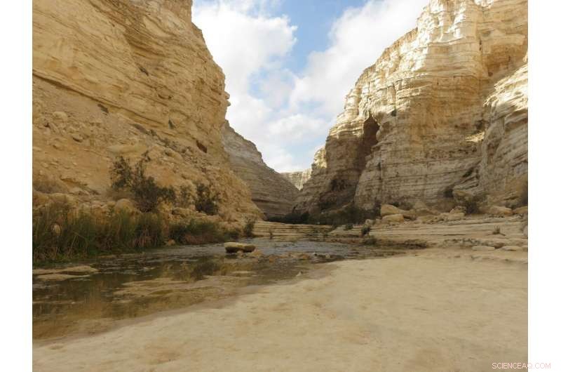 Water Security in Global Drylands: Current Challenges and Future Outlook