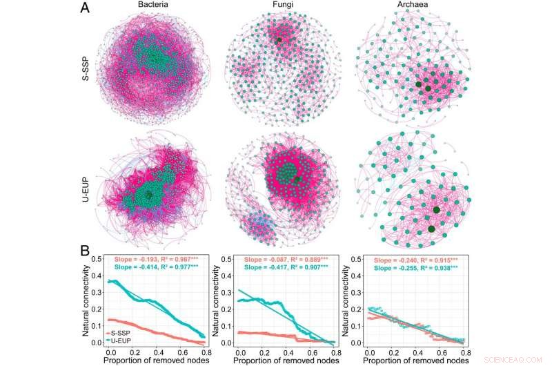Permafrost Carbon Loss Undermines Soil Microbial Stability
