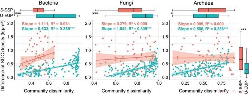 Permafrost Carbon Loss Undermines Soil Microbial Stability