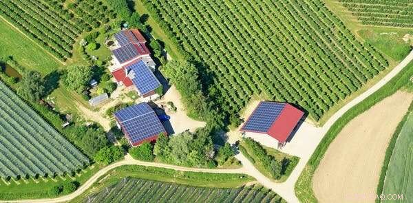 Why a Carbon Price Alone Won’t Cut New Zealand’s Emissions