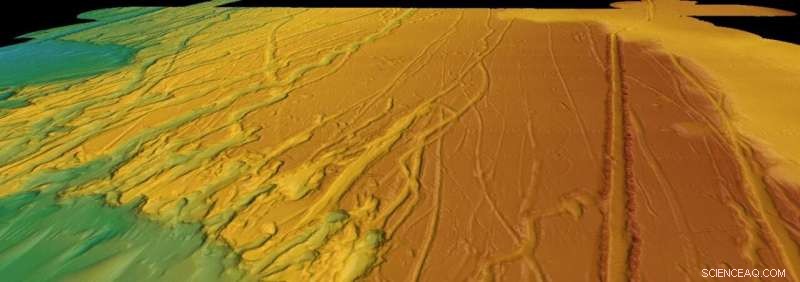 Canada Icebergs Make a Southern Florida Trip: Tracking Their Atlantic Journey