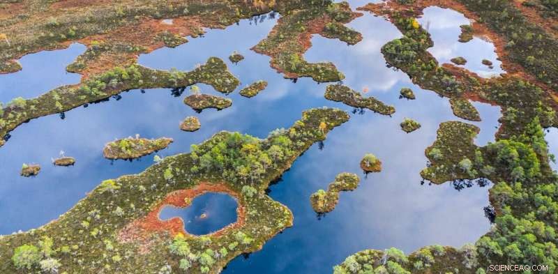 Global Peatland Dry‑Out May Emit 860 Million Tons of CO₂ Annually