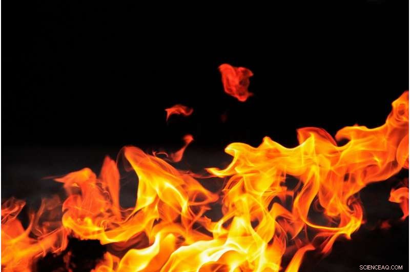 Rising Mountain Wildfires: Unprecedented Spread Up the Peaks