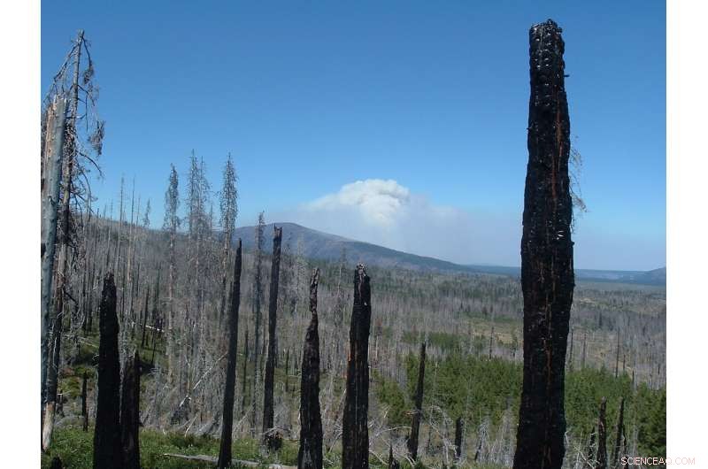 Model Projections Show Declining Lightning Fire Starts, Yet Larger Wildfires by Mid-Century