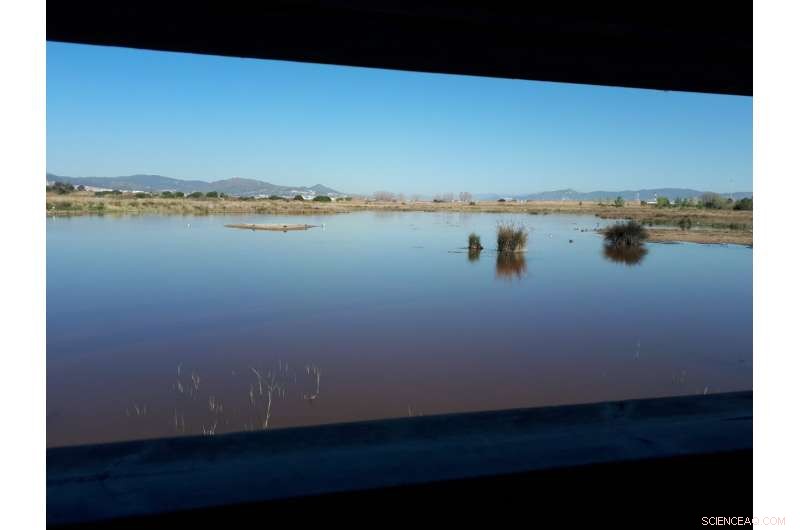 Study Confirms Protesters’ Concerns About Llobregat Delta’s Future