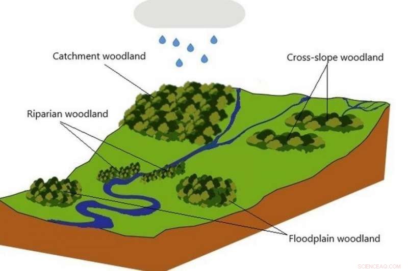The Critical Role of Forests in UK Flood Management