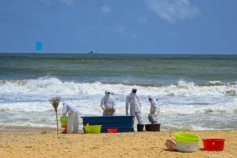 Increasing Wildlife Losses Linked to MV X-Press Pearl Ship Disaster in Sri Lanka